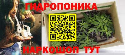 ПСИЛОЦИБИНОВЫЕ ГРИБЫ Малоярославец