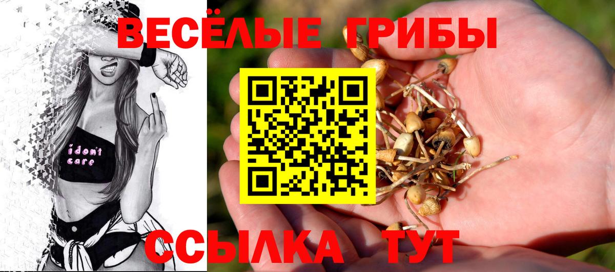 NBOMe  Мефедрон  Вход с VPN  Каннабис  МЕФ   Дмитров  Гашиш 