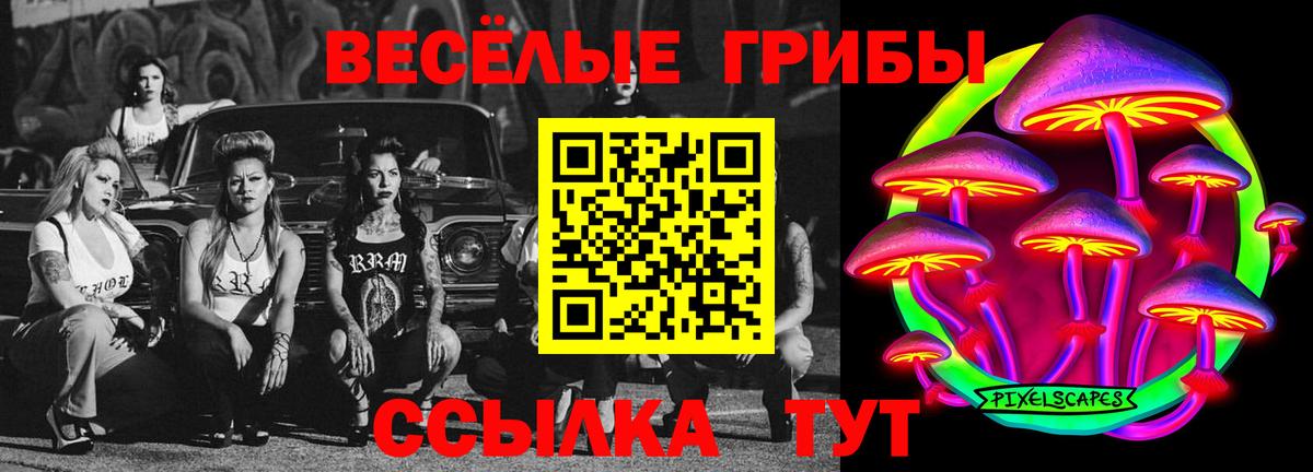 Псилоцибиновые грибы ЛСД  Псилоцибиновые грибы ЛСД  Дмитров  Вход с VPN 